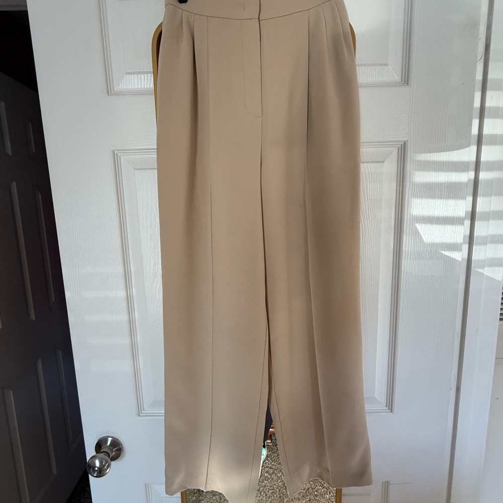 Aritzia Beige Pleated Trousers